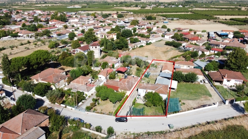 1127-75428545.jpg