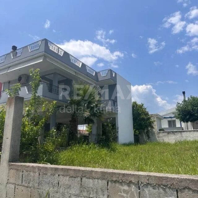 1120-7967637.jpg