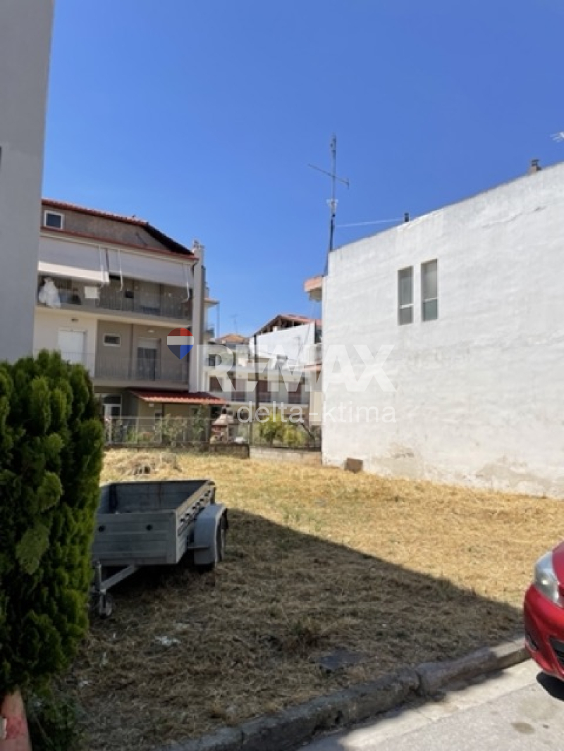 1140-86422830.jpg