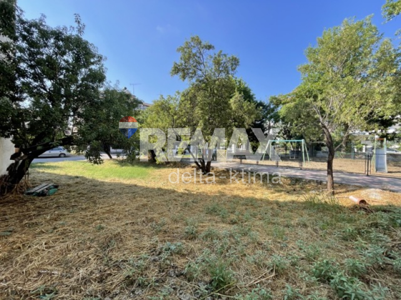 1140-86434258.jpg