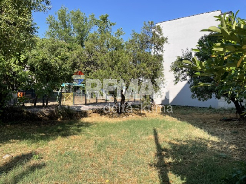1140-86434495.jpg