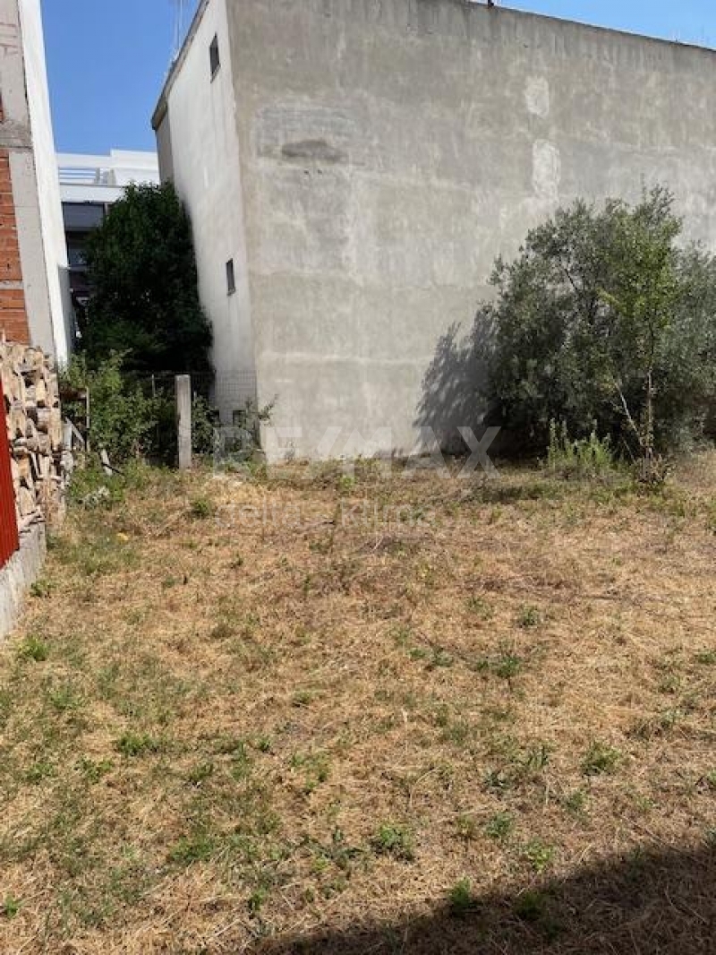 4341-46069673.jpg