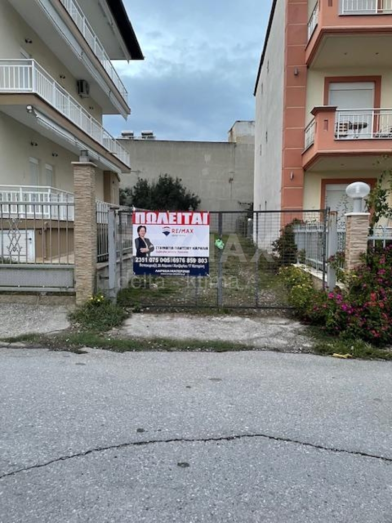 4341-46069828.jpg