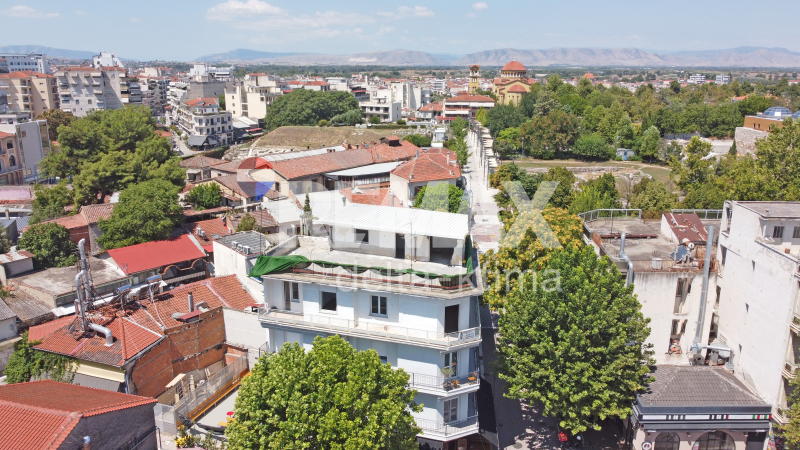 4343-8819888.jpg