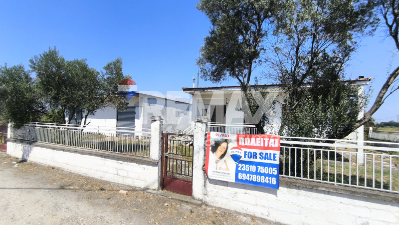 4347-90639064.jpg