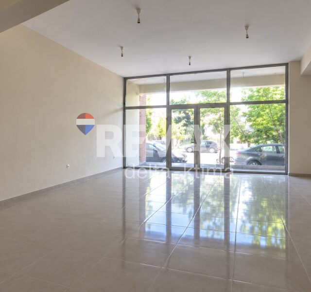 1120-9212411.jpg