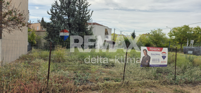1140-91832160.jpg