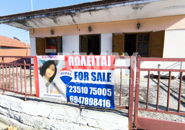 4347-91566658.jpg