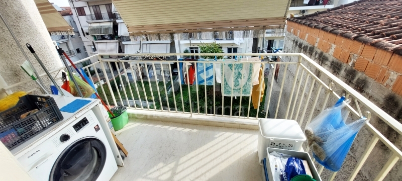 7-71273804.jpg