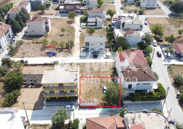 7-92746721.jpg