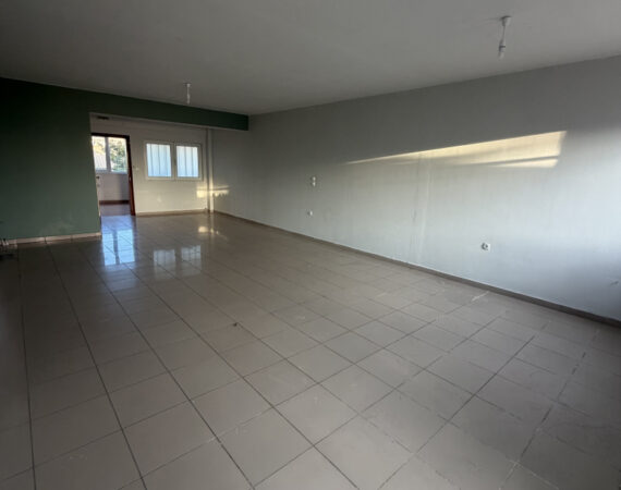 1099-93787604.jpg