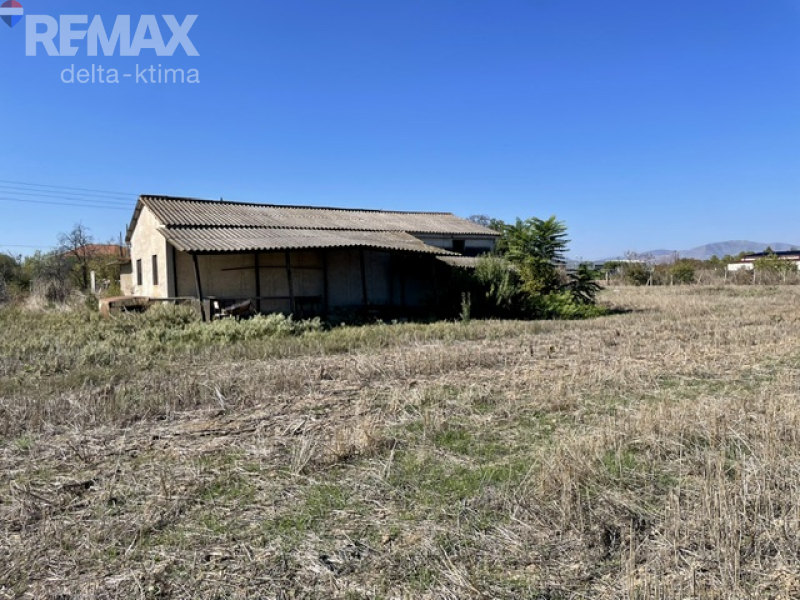 1140-93521035.jpg