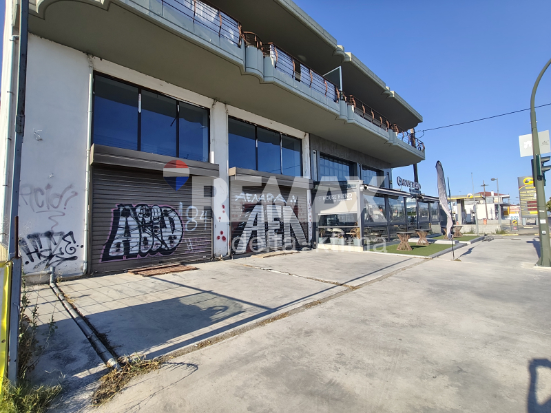 4368-9075251.jpg
